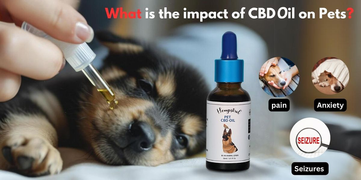 cannabinoid oil for dog